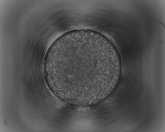 X0000100501183200807031933