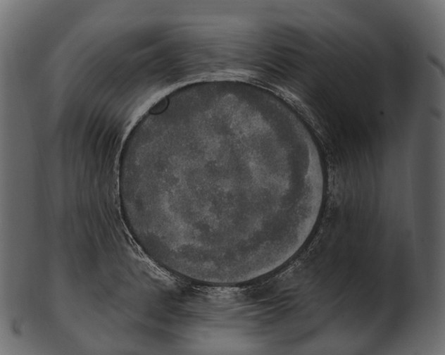 X0000100501184200807031933