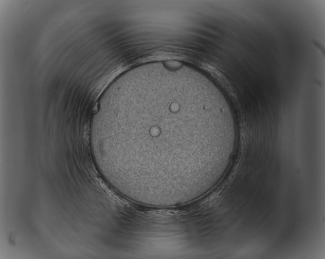 X0000100501185200807031933