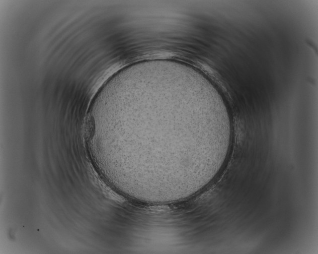 X0000100501186200807031933