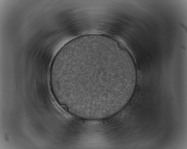 X0000100501187200807031933