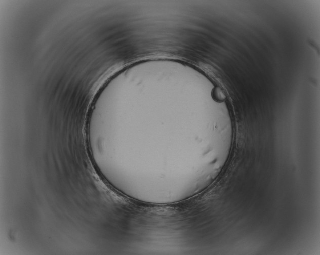 X0000100501189200807031933