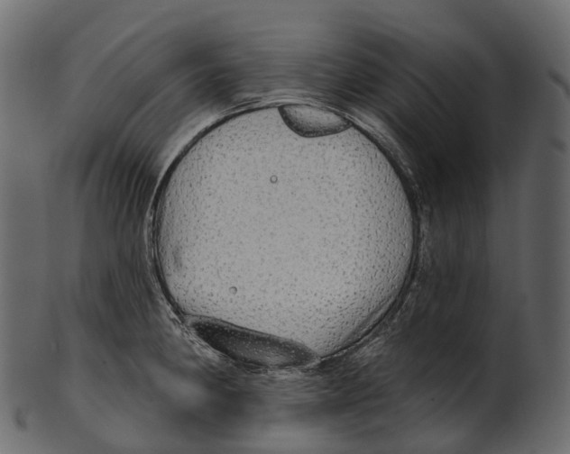 X0000100501190200807031933