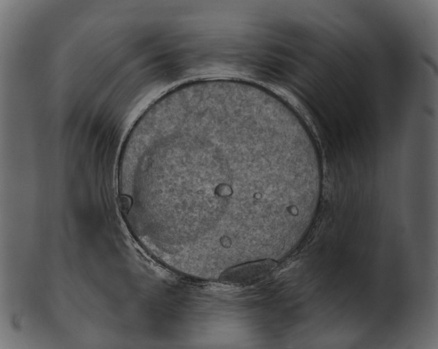 X0000100501191200807031933