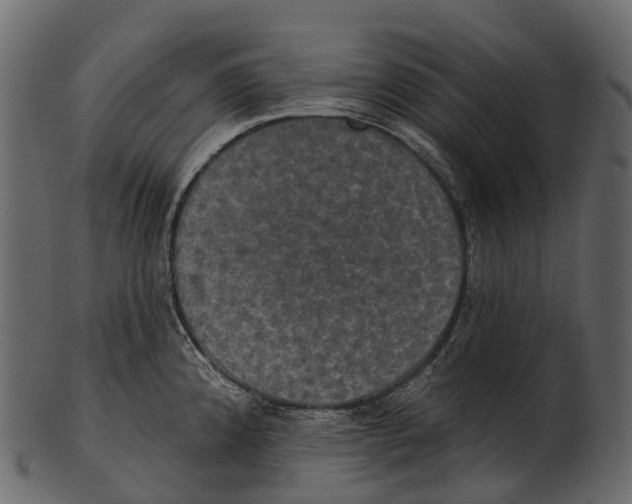 X0000100501192200807031933