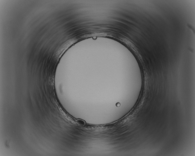 X0000100501193200807031933