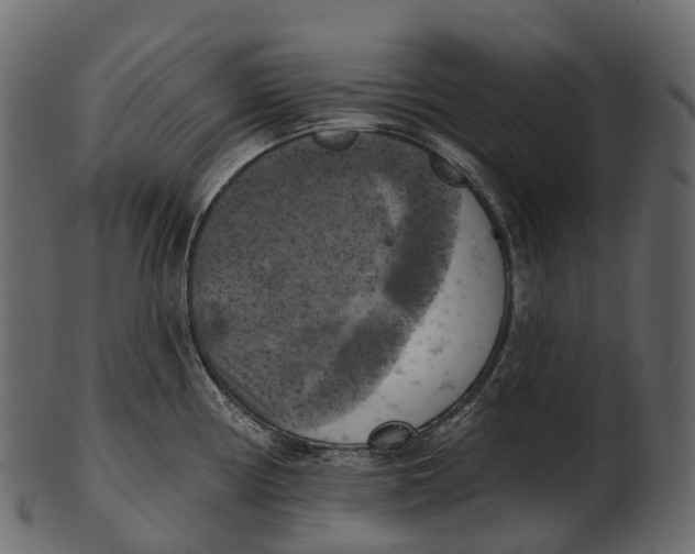 X0000100501194200807031933