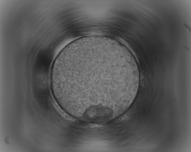 X0000100501195200807031933