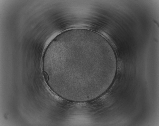 X0000100501196200807031933