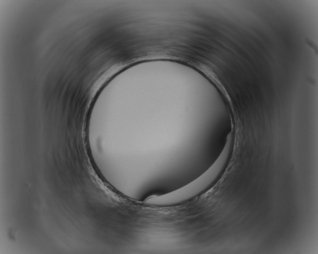 X0000100501197200807031933