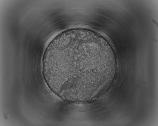 X0000100501199200807031933