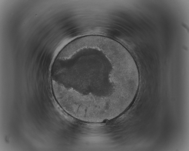 X0000100501200200807031933