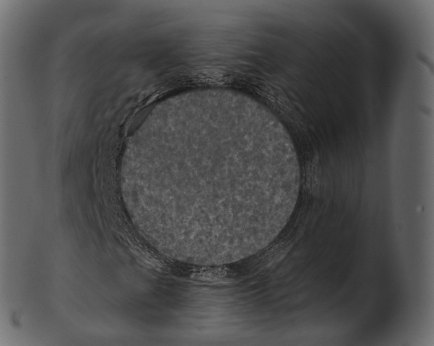 X0000100501201200807031932