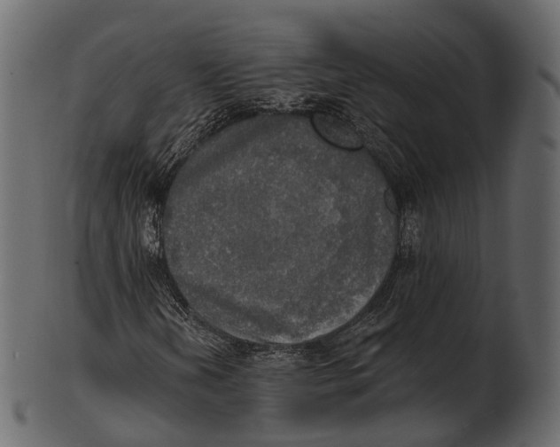 X0000100501202200807031932