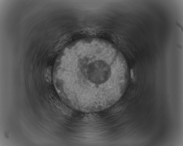 X0000100501203200807031932