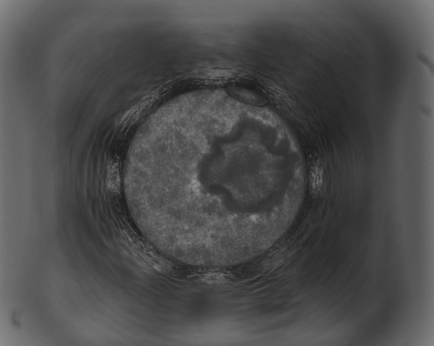 X0000100501204200807031932