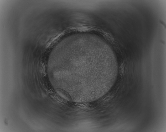 X0000100501205200807031932