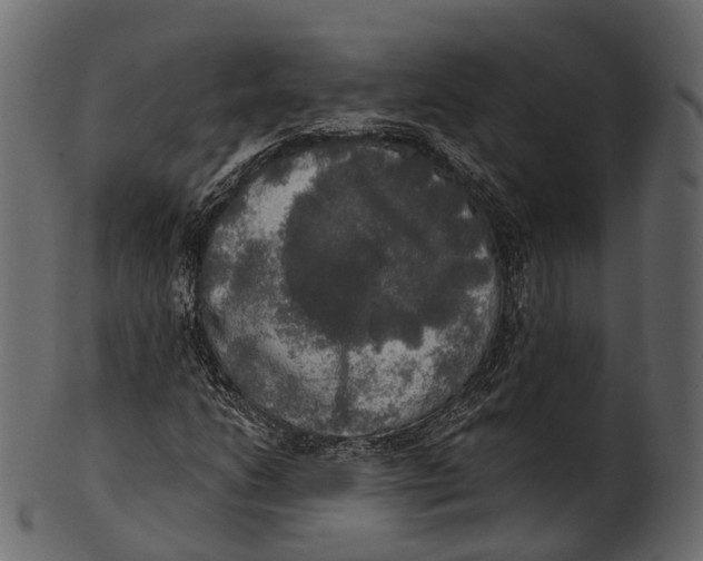 X0000100501206200807031932