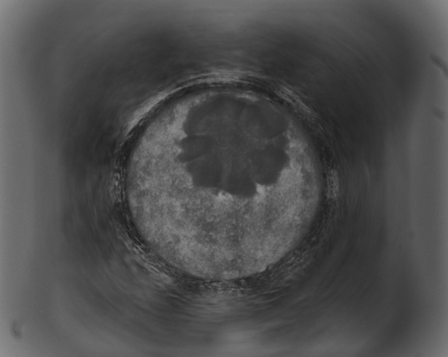 X0000100501208200807031932