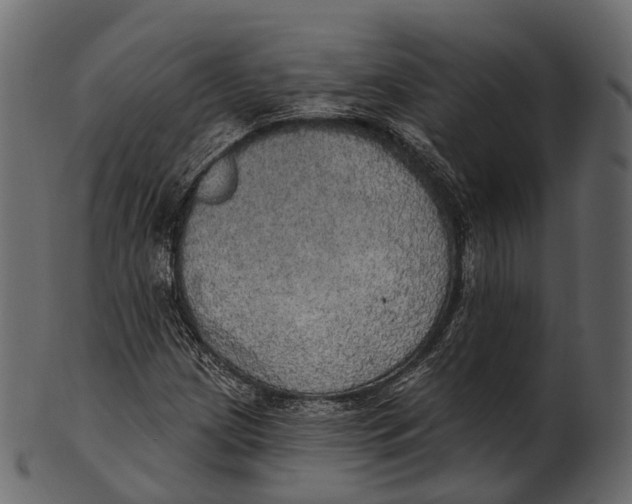 X0000100501209200807031932