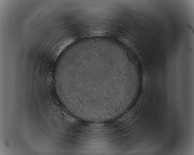 X0000100501210200807031932