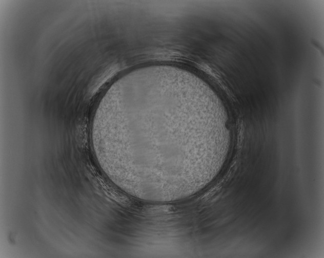 X0000100501211200807031932