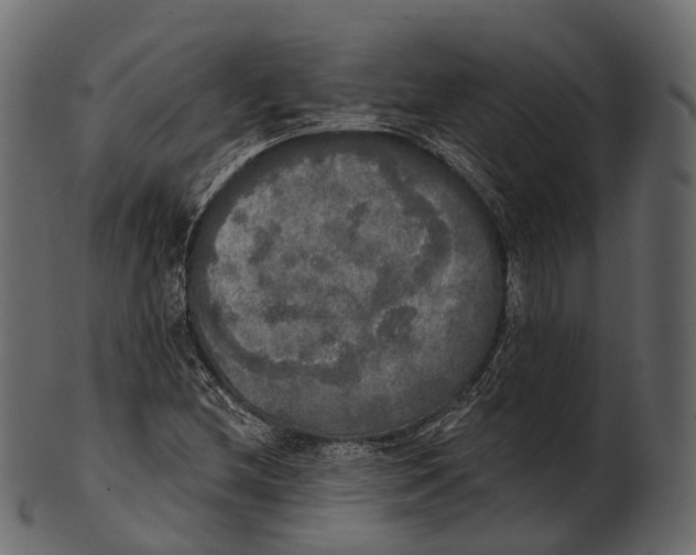 X0000100501212200807031932