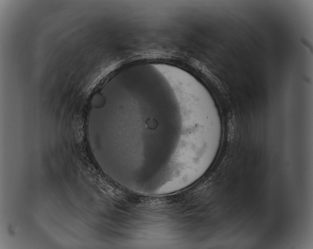 X0000100501213200807031932