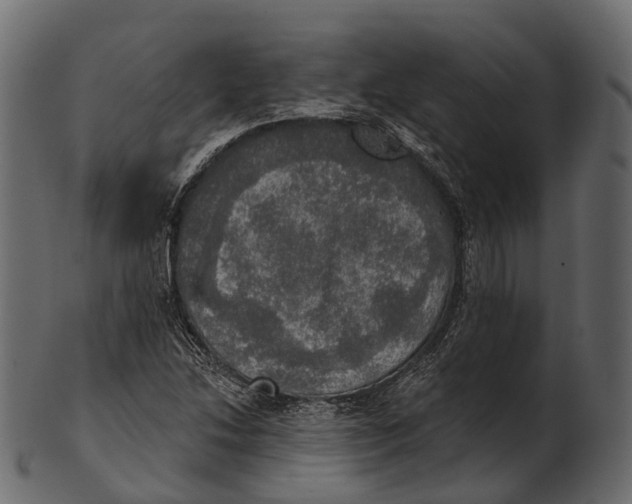 X0000100501214200807031932