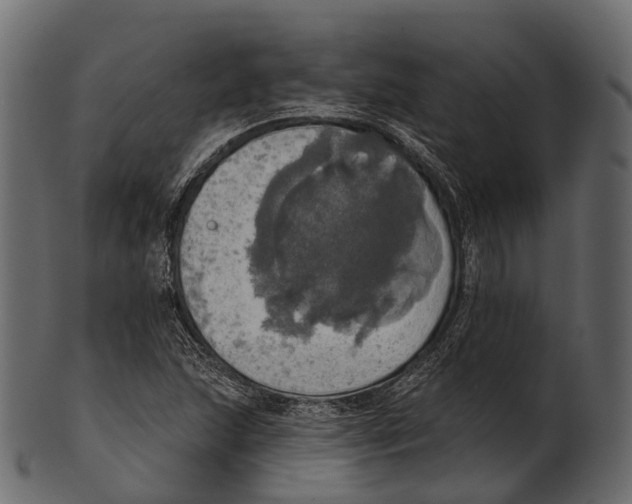 X0000100501215200807031932