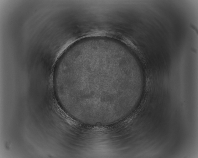 X0000100501216200807031932