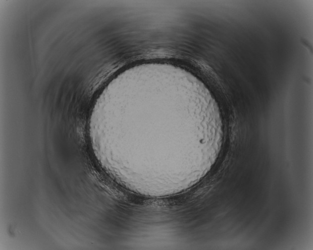 X0000100501217200807031932