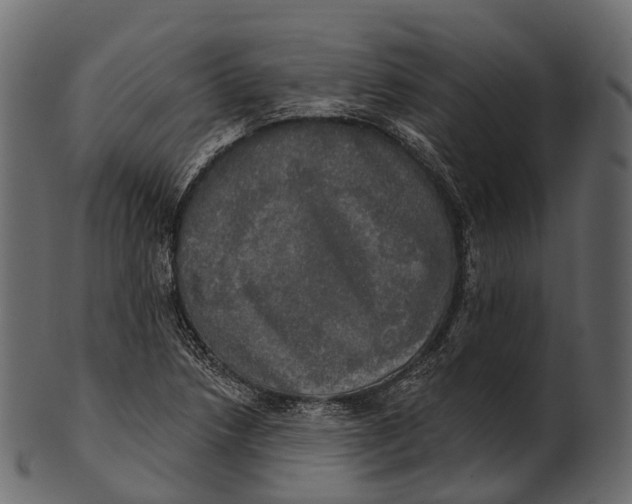 X0000100501218200807031932