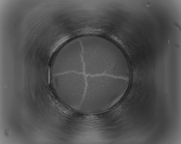 X0000100501219200807031932