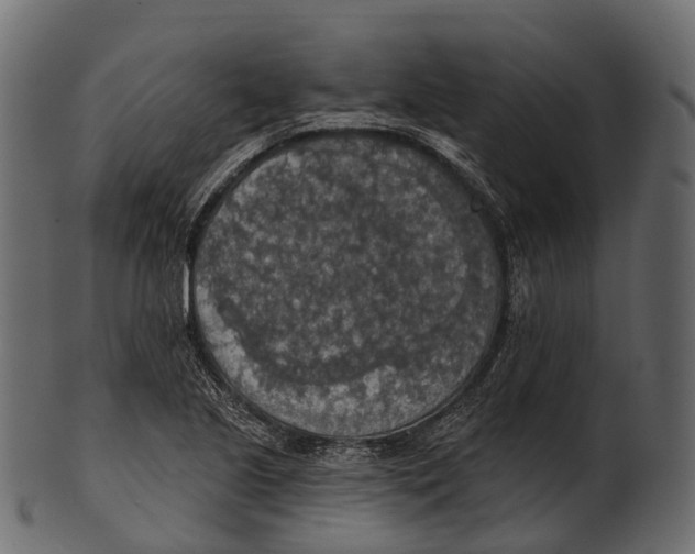 X0000100501221200807031932