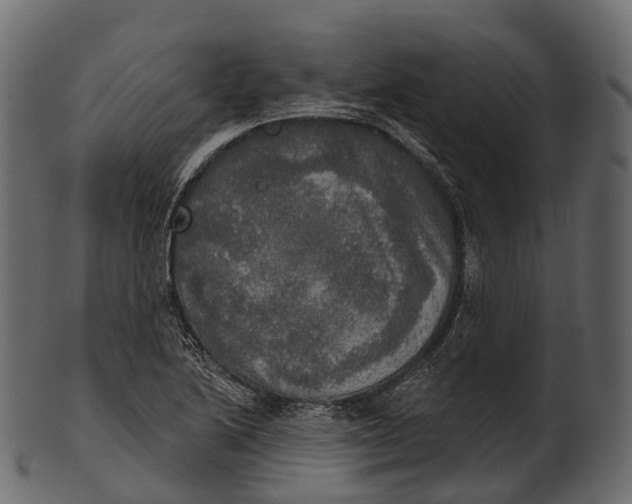 X0000100501222200807031932