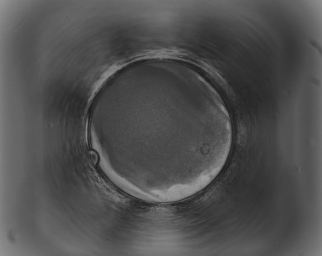 X0000100501224200807031932