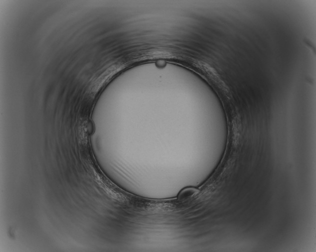 X0000100501225200807031932