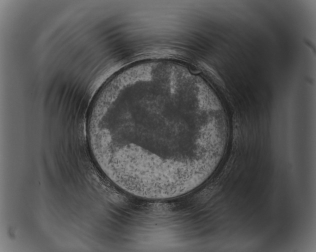 X0000100501226200807031932