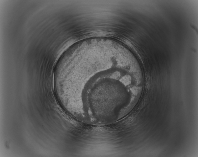 X0000100501227200807031932