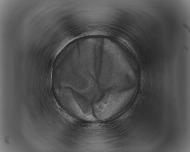 X0000100501228200807031932