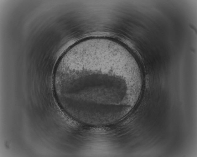 X0000100501229200807031932