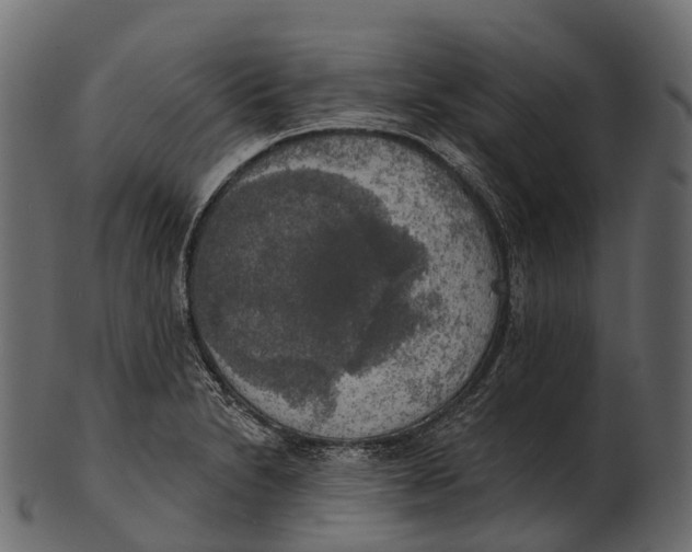 X0000100501230200807031932