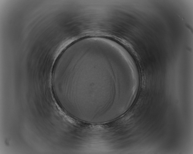 X0000100501231200807031932