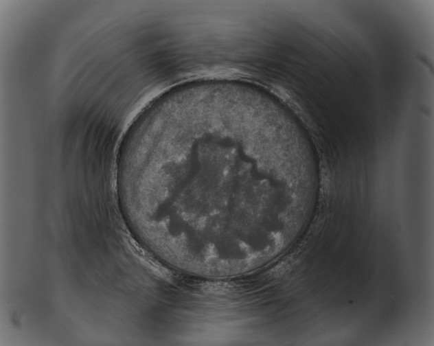 X0000100501232200807031932