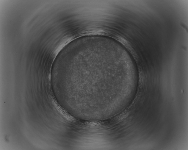 X0000100501234200807031932