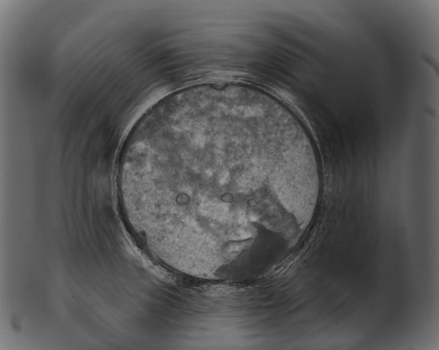 X0000100501235200807031932