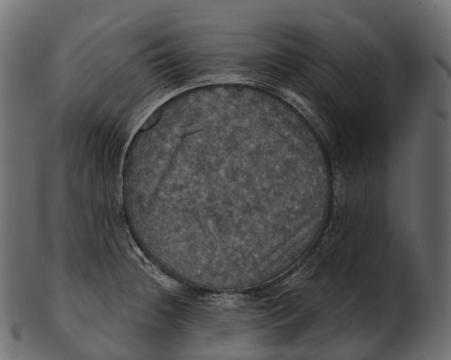 X0000100501236200807031932