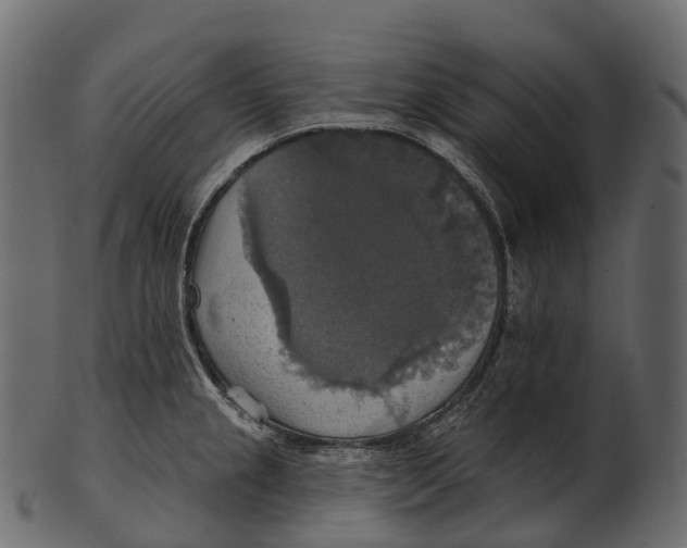 X0000100501237200807031932