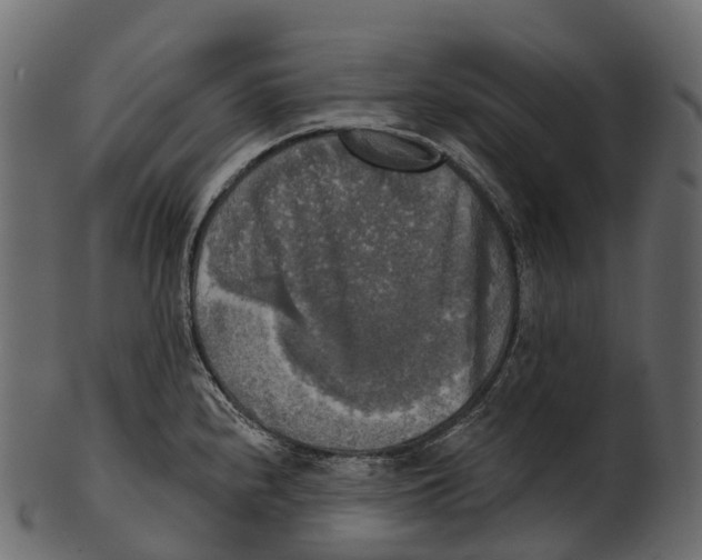 X0000100501240200807031933